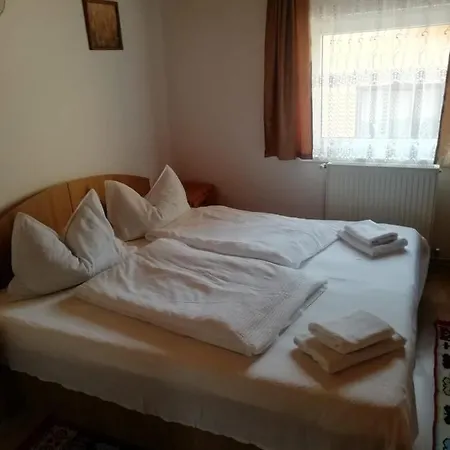 Guest house Vila Ovi
