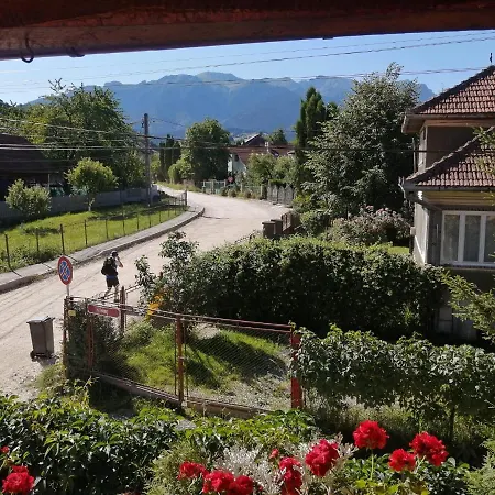 Vila Ovi Guest house *